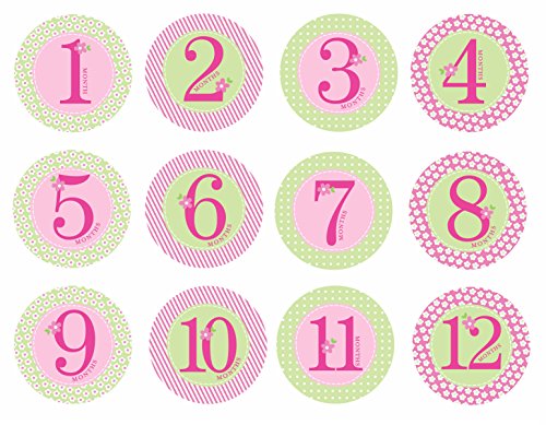 0885184765682 - PEARHEAD BABY MILESTONE STICKERS, PINK