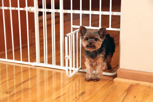 0885195305969 - CARLSON EXTRA TALL METAL EXPANDABLE PET GATE