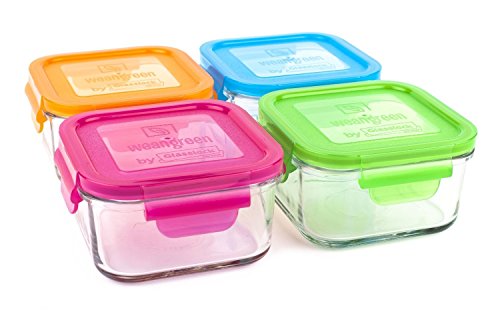 0885252892401 - WEAN GREEN GARDEN PACK LUNCH CUBES GLASS FOOD CONTAINERS