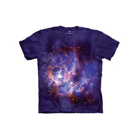 0885361244009 - THE MOUNTAIN MEN'S SMITHSONIAN STAR FORMING ADULT T-SHIRT, PURPLE, SMALL
