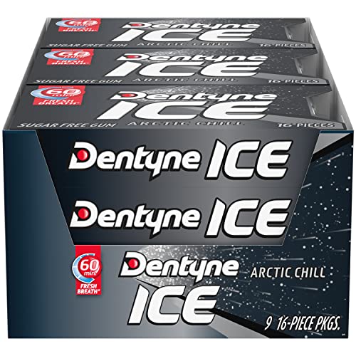 0885400564716 - DENTYNE ICE ARCTIC CHILL SUGAR FREE GUM, 9 PACKS OF 16 PIECES (144 TOTAL PIECES)