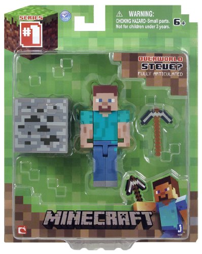 0885523167818 - MINECRAFT CORE STEVE ACTION FIGURE WITH ACCESSORY