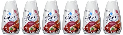 0885611209529 - GLADE SOLID AIR FRESHENER, APPLE CINNAMON, 6 OUNCE (PACK OF 6)