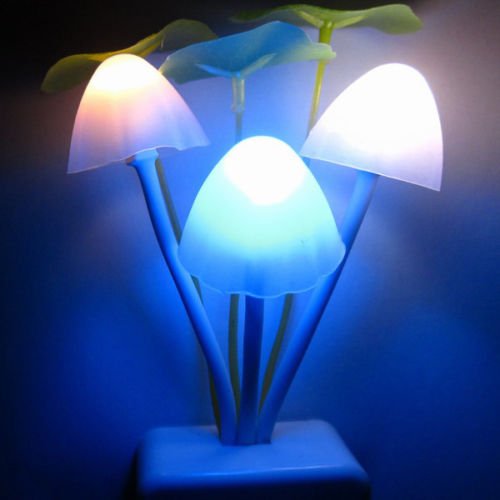 0885699947474 - SENSOR NIGHT LIGHT MUSHROOM LED LAMP EU/US PLUG ROMANTIC COLORFUL HOME DECOR