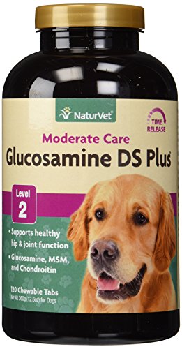 0885790575361 - NATURVET GLUCOSAMINE DS PLUS CHEWABLE TABS (WITH MSM), 120 COUNT