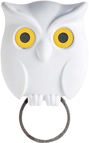 8858782114239 - QUALY NIGHT OWL WALL MOUNTED KEYRING AND KEYHOLDER IN WHITE