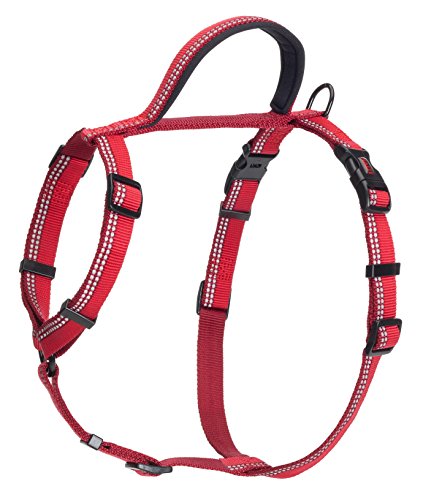 0886284173414 - THE COMPANY OF ANIMALS HALTI WALKING HARNESS, RED, LARGE