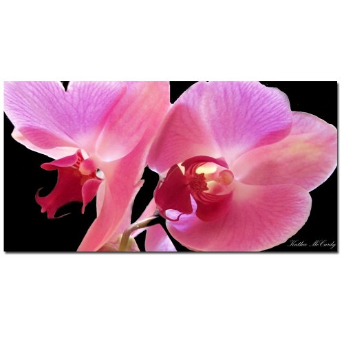 0886511063204 - TRADEMARK FINE ART ORCHID BY KATHIE MCCURDY CANVAS WALL ART, 10X19-INCH