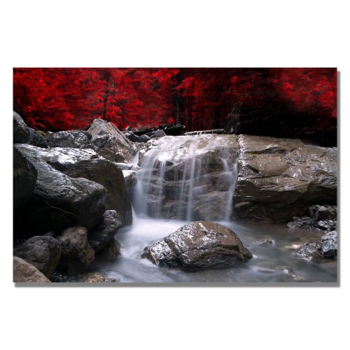 0886511306196 - TRADEMARK FINE ART RED VISON BY PHILIPPE SAINTE-LAUDY CANVAS WALL ART, 35X47-INCH