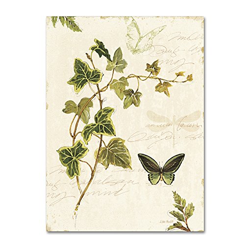 0886511710061 - TRADEMARK FINE ART IVIES AND FERNS IV WALL DECOR BY LISA AUDIT, 18 X 24