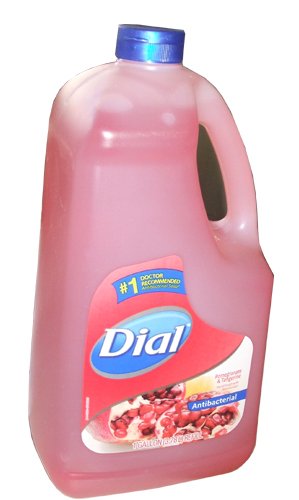 0887945369580 - DIAL GOLD ANTIBACTERIAL HAND SOAP WITH MOISTURIZER POMEGRANATE AND TANGERINE SCENT 1 GALLON REFILL