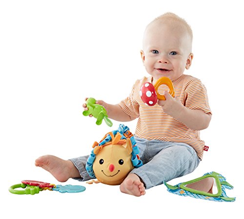 0887961179880 - FISHER-PRICE MOONLIGHT MEADOW 5-TOY ACTIVITY SET
