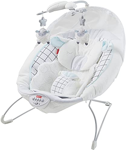 0887961655711 - FISHER-PRICE SWEET LITTLE LAMB DELUXE BABY BOUNCER