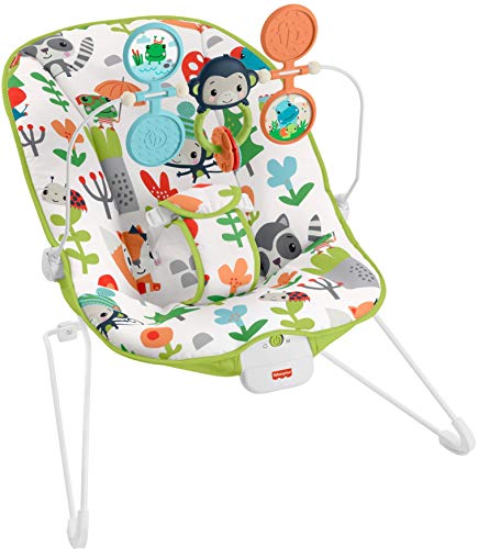 0887961924985 - FISHER-PRICE BABYS BOUNCER