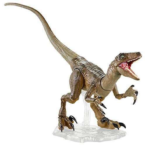 0887961973068 - JURASSIC WORLD AMBER COLLECTION VELOCIRAPTOR DINOSAUR FIGURE COLLECTIBLE TOY 6-IN SCALE, POSABLE JOINTS, AUTHENTIC LOOK & STAND FOR 8 YEARS OLD & UP