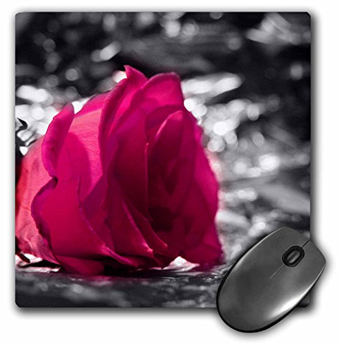 0888414202858 - 3DROSE LLC 8 X 8 X 0.25 INCHES MOUSE PAD, PINK ROSE ON SILVER BACKGROUND FLORAL IMAGE (MP_155990_1)