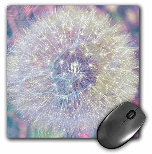 0888414228520 - 3DROSE LLC 8 X 8 X 0.25 INCHES MOUSE PAD, MAKING A WISH VISION- PASTEL DANDELION- FLOWERS (MP_33727_1)