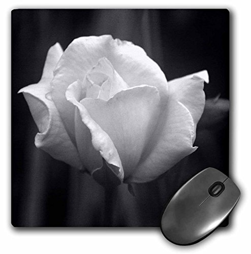 0888414228933 - 3DROSE LLC 8 X 8 X 0.25 INCHES MOUSE PAD, BLACK AND WHITE SINGLE ROSE (MP_34607_1)