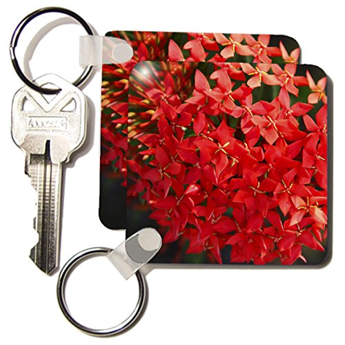 0888414305764 - 3DROSE RED IXORA - KEY CHAINS, 2.25 X 4.5 INCHES, SET OF 2 (KC_7502_1)