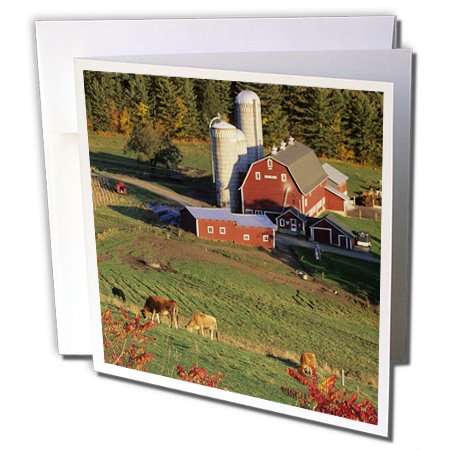0888414383472 - 3DROSE VERMONT, POMFRET. RED BARN AND FALL FOLIAGE - US46 JME0001 - JOHN AND LISA MERRILL - GREETING CARDS, 6 X 6 INCHES, SET OF 12 (GC_94998_2)