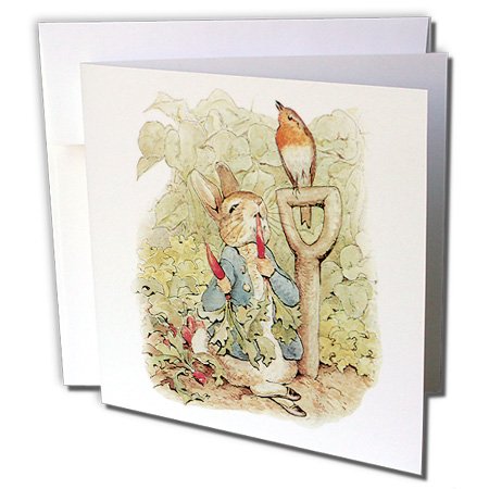 0888414385995 - 3DROSE PETER RABBIT IN THE GARDEN - VINTAGE ART - GREETING CARDS, 6 X 6 INCHES, SET OF 12 (GC_110164_2)