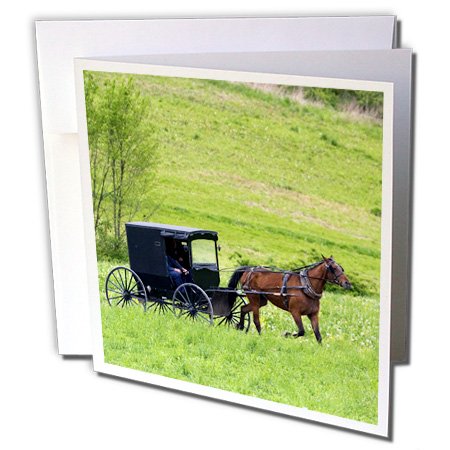 0888414860133 - DANITA DELIMONT - FARMS - AMISH FARM WITH HORSE BUGGY NEAR BERLIN, OHIO - US36 DFR0018 - DAVID R. FRAZIER - 6 GREETING CARDS WITH ENVELOPES (GC_93371_1)