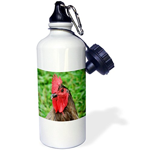 0888414883743 - 3DROSE WB_8467_1 BLUE ROOSTER BY ANGELANDSPOT SPORTS WATER BOTTLE, 21 OZ, WHITE