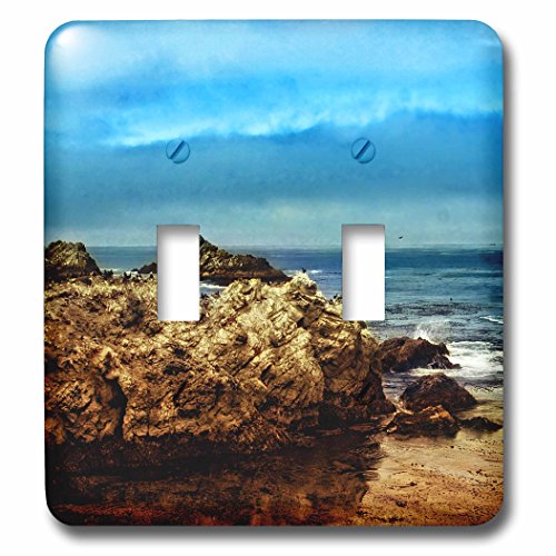 0888414990861 - 3DROSE LSP_203386_2 CALIFORNIA COASTAL OCEAN VIEW WITH ROCKS AND BIRDS - DOUBLE TOGGLE SWITCH