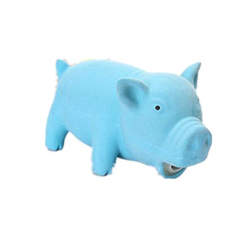 0889743430691 - GENERIC LATEX PET TOY SQUEAKER SOUND CUTE FUN PIG COLORFUL DOG CAT PUPPY HAPPY PLAY TOYS (BLUE COLOR)