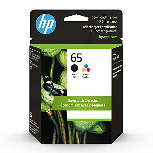 0889894900760 - HP 65 BLACK/TRICOLOR INK CARTRIDGES (T0A36AN#140), PACK OF 2