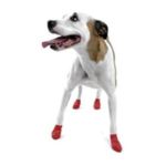 0897515001031 - A SINGLE WATER PROOF DOG BOOTS