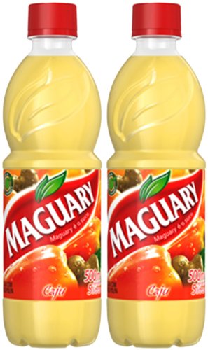 0897793000498 - MAGUARY CASHEW JUICE CONCENTRATE - 16.9 FL.OZ | SUCO CONCENTRADO MAGUARY SABOR CAJU - 500ML - (PACK OF 02)