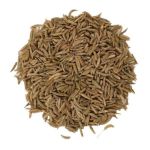 0898360010926 - BULK CARAWAY SEED WHOLE PACKAGE 1 LB
