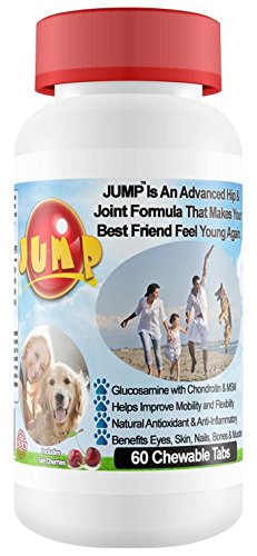 0090125992830 - GLUCOSAMINE FOR DOGS WITH CHONDROITIN, HIP & JOINT SUPPLEMENT, ARTHRITIS RELIEF,