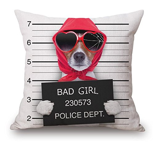 9035827566522 - FUNNY BAD DOG PILLOW CASE 18 X 18 (ONE SIDE) WITH CHINCHILLA DESIGN-BY MY STAR MARKET