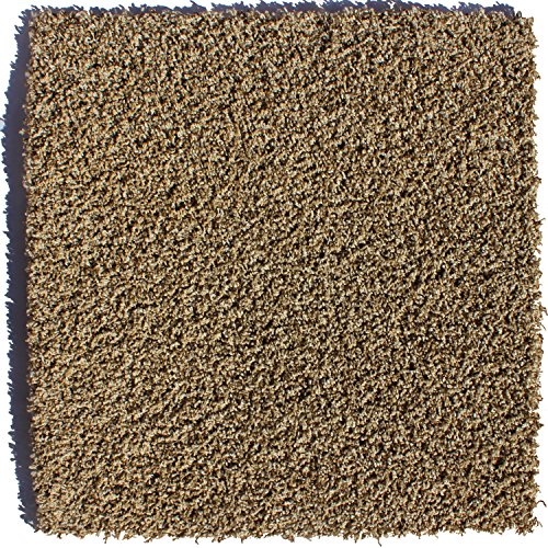 0091037123763 - SIMPLY SEAMLESS TRANQUILITY TOFFEE 24 IN. X 24 IN. CARPET TILE (10 TILES/CASE)