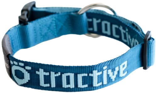 9120056450022 - TRACTIVE DOG COLLAR WITH SAFETY INTERLOCK BUCKLE, LARGE