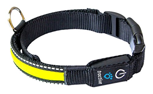 9120056450237 - TRACTIVE LED COLLAR FOR DOGS, LARGE, YELLOW