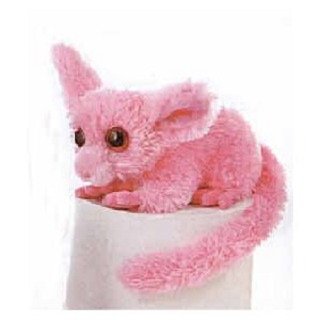 0092943306622 - COLORFUL PINK BUSH BABY 8 BY AURORA