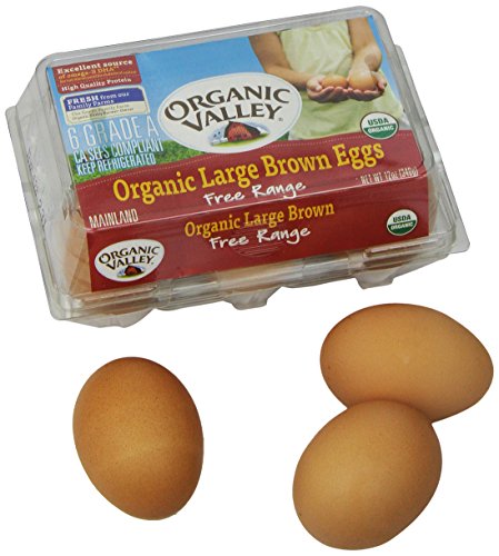 0093966811216 - LARGE BROWN EGGS