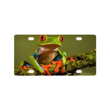 9468723722639 - CAR AUTOMOTIVE LICENSE PLATE - CUTE RED EYED TREE FROG METAL LICENSE PLATE FOR CAR (NEW) - 12 X 6
