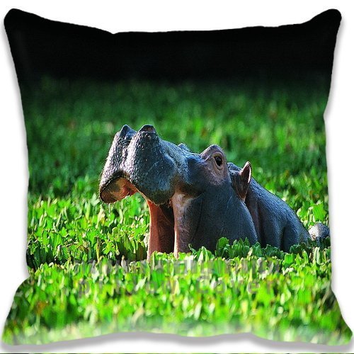 9478861571587 - AWESOME HIPPO COLORFUL COTTON AND POLYESTER HOME DECORATIVE THROW PILLOW COVER CUSHION CASE 18X18INCH