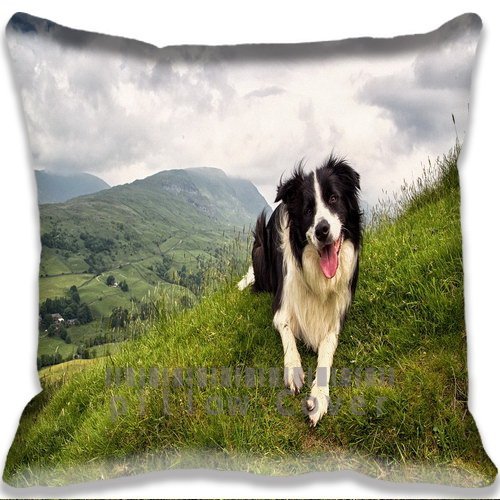 9478861572577 - BORDER COLLIE COLORFUL COTTON AND POLYESTER HOME DECORATIVE THROW PILLOW COVER CUSHION CASE 18X18INCH