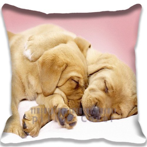 9478861572607 - BROWN DOG SLEEP TOGETHER COLORFUL COTTON AND POLYESTER HOME DECORATIVE THROW PILLOW COVER CUSHION CASE 18X18INCH