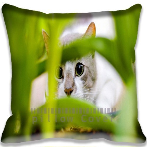 9478861572782 - CAT EYES COLORFUL COTTON AND POLYESTER HOME DECORATIVE THROW PILLOW COVER CUSHION CASE 18X18INCH