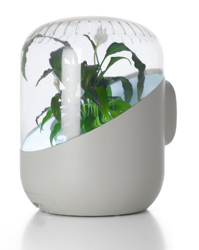 0094922309280 - ANDREA: PLANT-BASED AIR PURIFIER (WHITE)