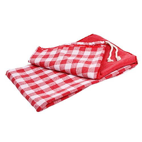 0096962643409 - ECO-BLANKET ALL PURPOSE PICNIC BLANKET AND MAT THAT CONVERTS INTO A BACKPACK - LARGE 63 X 51 (RED)