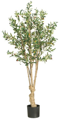 0097367161697 - NEARLY NATURAL 5258 OLIVE SILK TREE, 5-FEET, GREEN