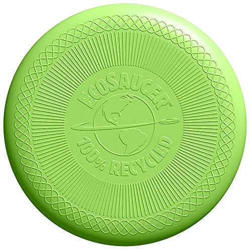 9780789478764 - GREEN TOYS ECOSAUCER FLYING DISC