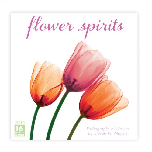 9781416295266 - FLOWER SPIRITS; RADIOGRAPHS OF NATURE 2015 WALL CALENDAR